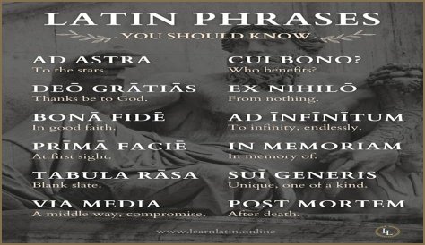 A Profile Of A Latin Beauty